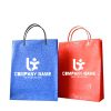 Custom Shopping Paper Carry Bag 12X10X3-0