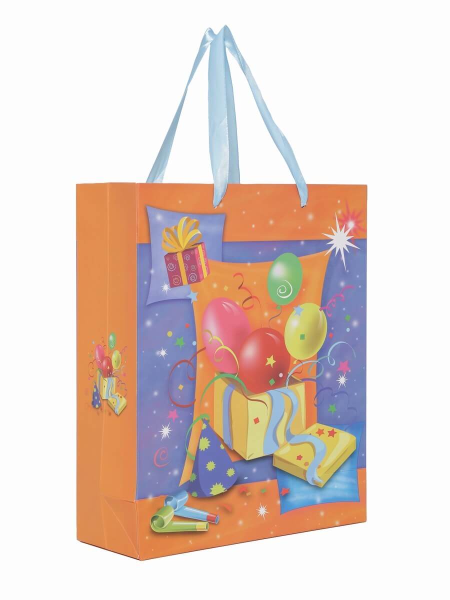 Frozen dori Bag Haversack Bag Gift Bags for Birthday Return Gifts for Kids   Pack of 8