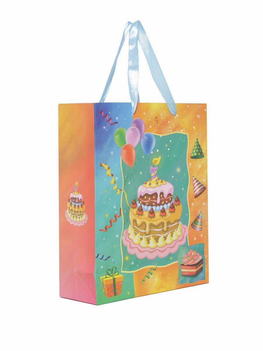 Birthday Return Gift Carry Bags at Best Price in Delhi  DELHI ENTERPRISES