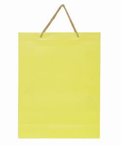 Shopping Gift Paper Bag with Handle