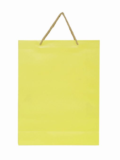 Shopping Gift Paper Bag with Handle