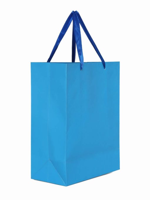 Printed Retail Gift Paper Bag