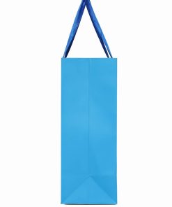 Online Packaging Fancy Paper Bag