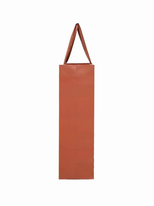 Shopping Mall Carrier Paper Bags