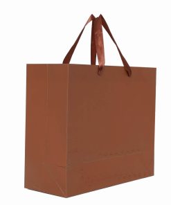 Modern Style Fancy Paper Bag