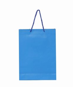 Blue Bag for Shopping Online India