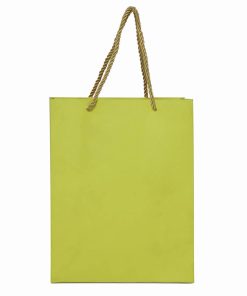 Green Shopping Paper Bag