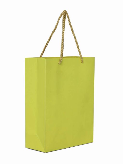 Green Paper Bag Online