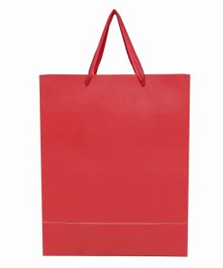 Paper Bag for Gifting