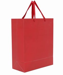 Beautiful Fancy RED Design Bag
