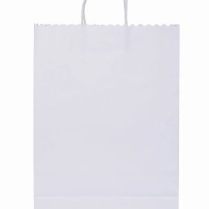 Garment Paper Shopping Bags