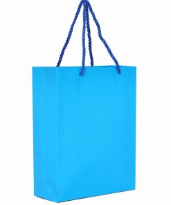 Gift Bag with Handles Bulk