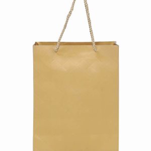 Paper Gift Bag Online in India