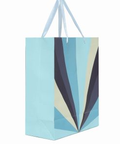 Fancy Shopping Paper Gift Bag