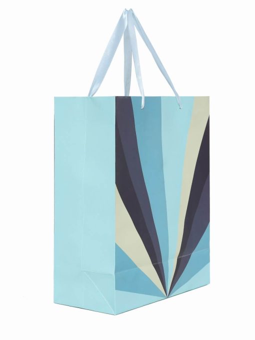 Fancy Shopping Paper Gift Bag