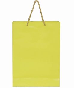 Premium Green Fancy Paper Bag