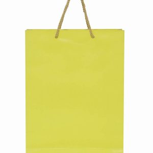 Premium Green Fancy Paper Bag
