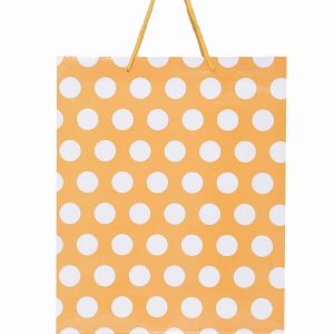 Shopping Bag for Boutique Stores