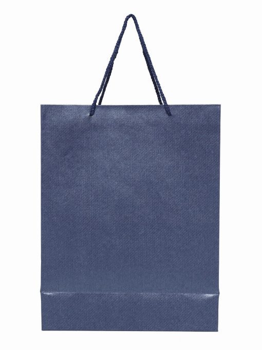Shopping Carry Paper Bag