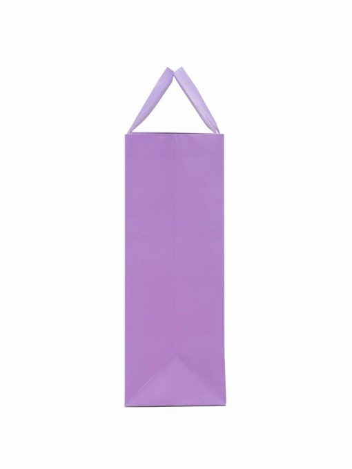 Shopping Paper Bag With Handle