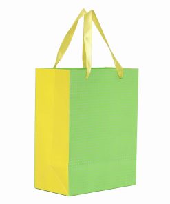 Green Party Favor Gift Bag Shop