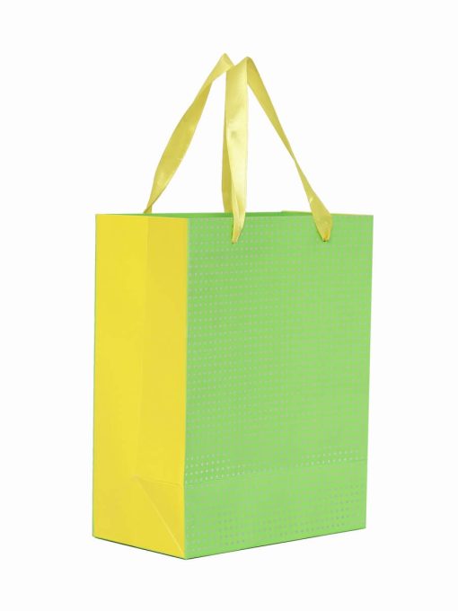 Green Party Favor Gift Bag Shop