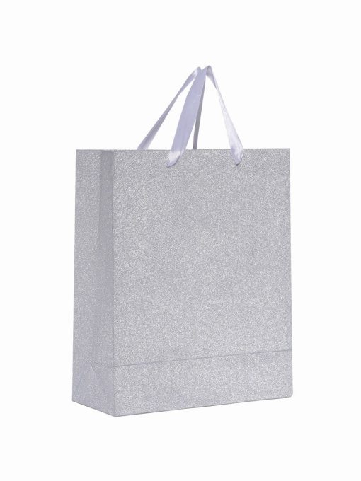Premium Small Glossy Paper Bag