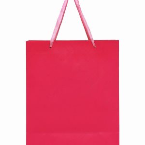 Cheap Promotional Paper Bags India
