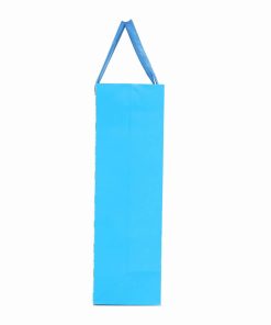 Online Shopping Gift Paper Bags