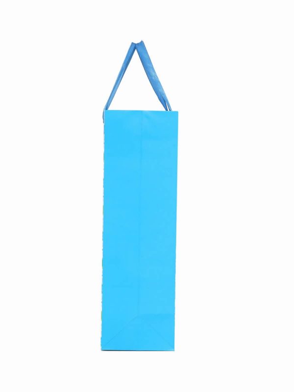 Online Shopping Gift Paper Bags